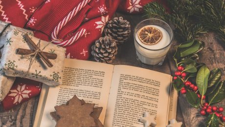 Book Reviews November 2021 Holiday Pic