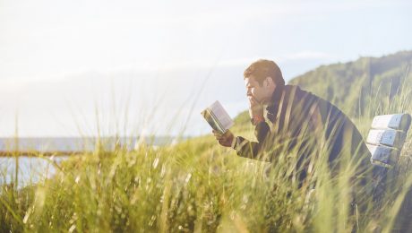 Man reading a book on a park bench surrounded by tall grass